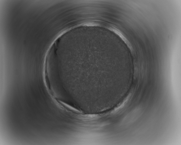 X0000089750853200707051814