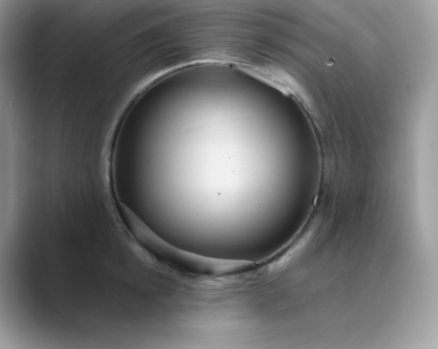 X0000089750854200707051814