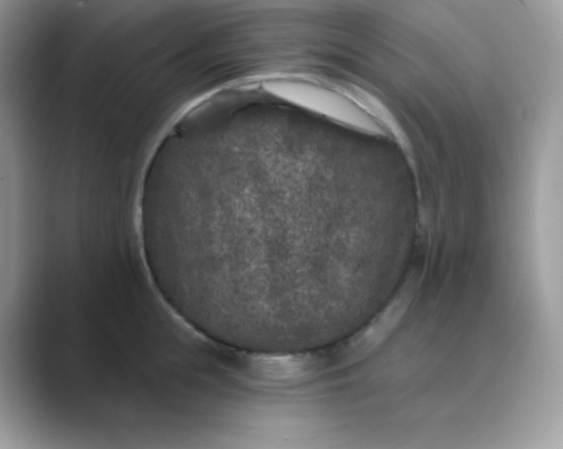 X0000089750855200707051814