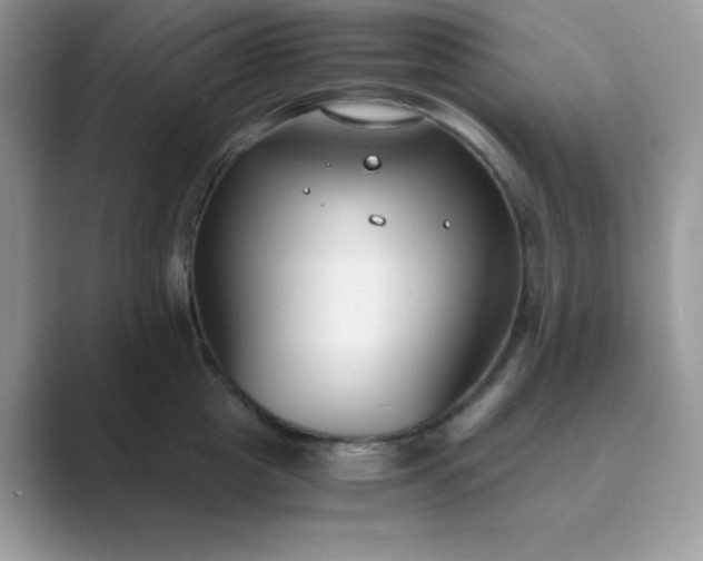 X0000089750857200707051814