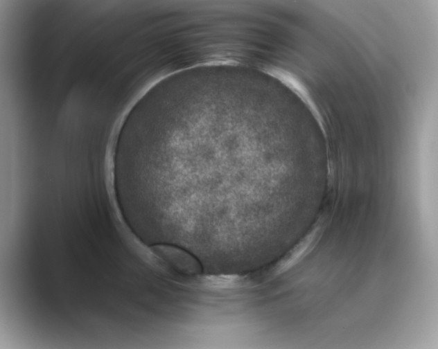 X0000089750859200707051814