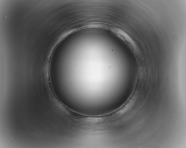 X0000089750860200707051814