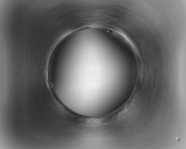 X0000089750861200707051814