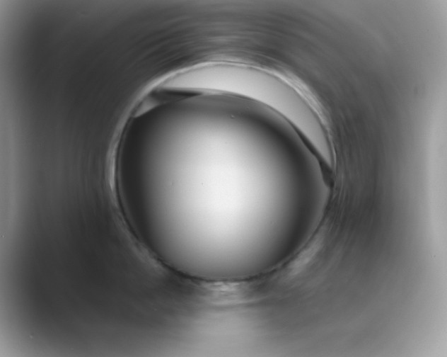 X0000089750862200707051814