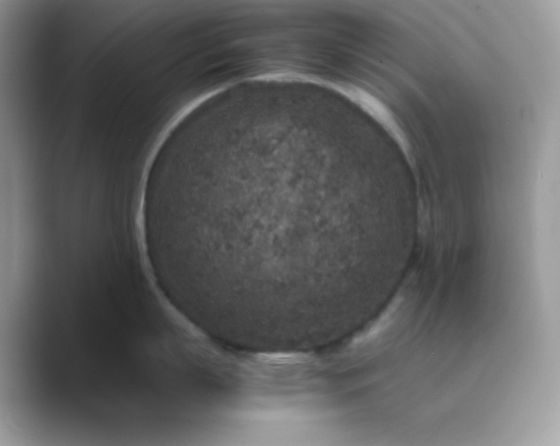 X0000089750863200707051814