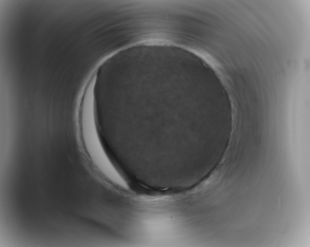 X0000089750864200707051814