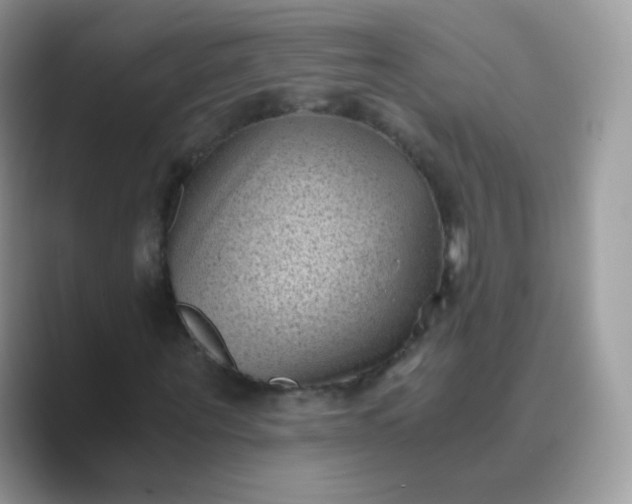 X0000089750867200707051813