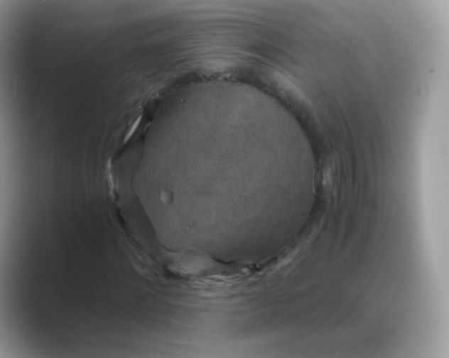 X0000089750868200707051813