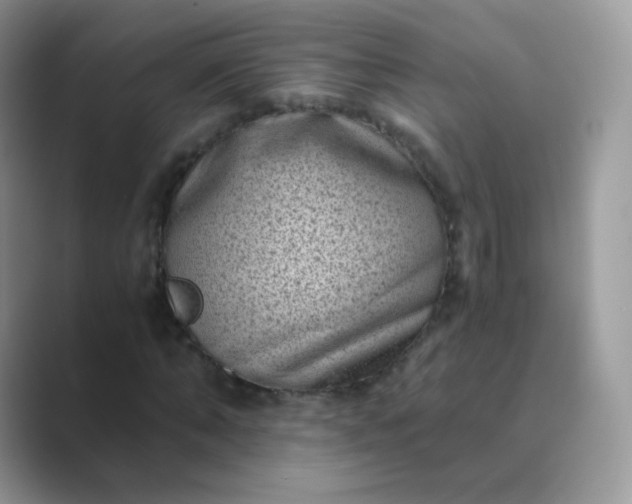 X0000089750870200707051813