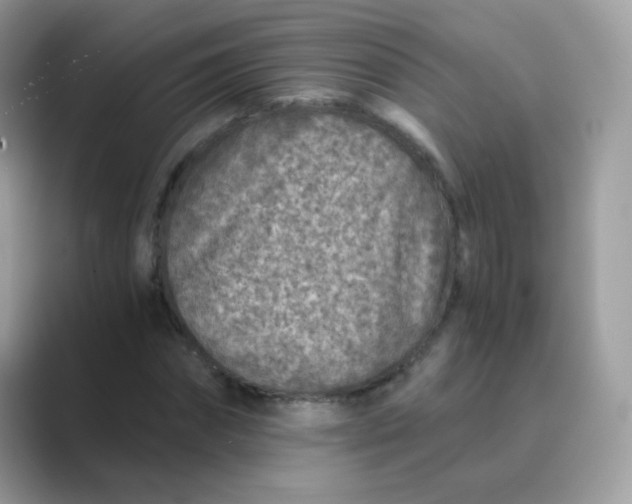 X0000089750874200707051813