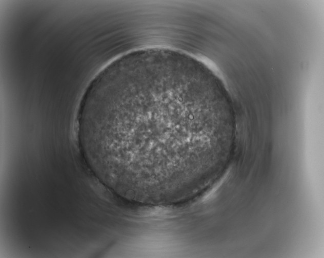 X0000089750879200707051813