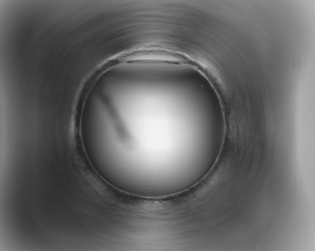 X0000089750880200707051813