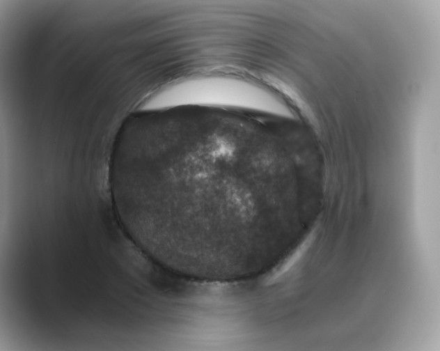 X0000089750881200707051813