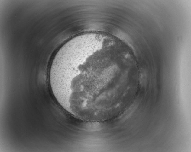 X0000089750882200707051813