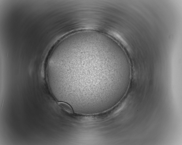 X0000089750883200707051813