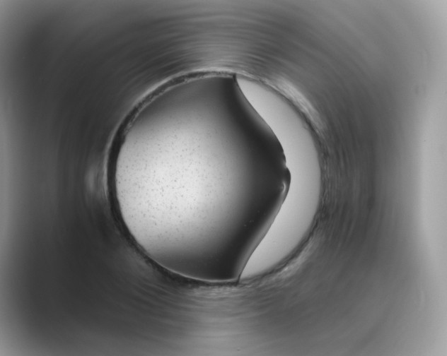 X0000089750884200707051813