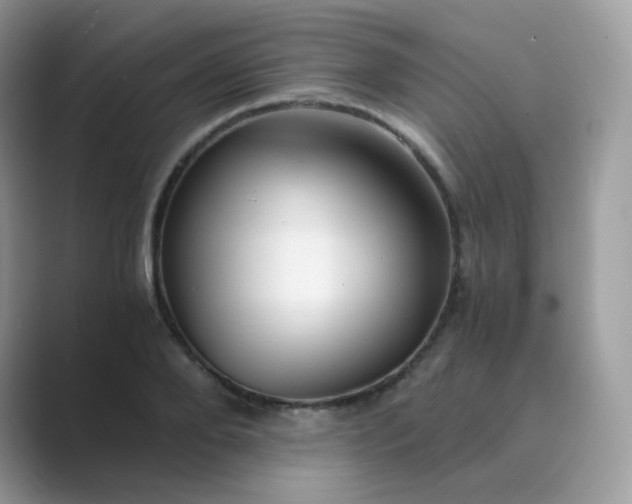 X0000089750888200707051813