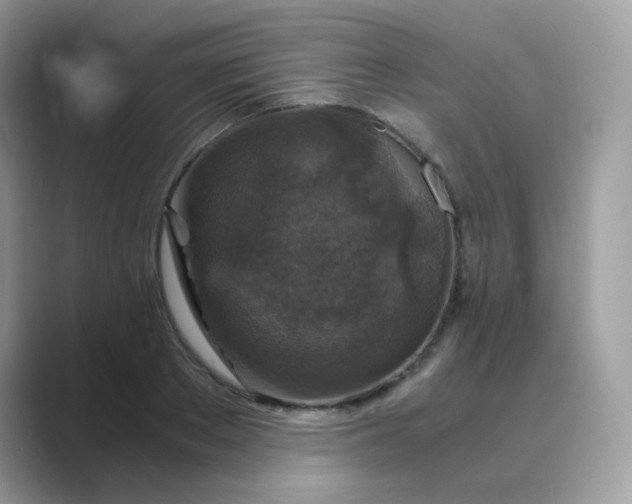 X0000089750889200707051813