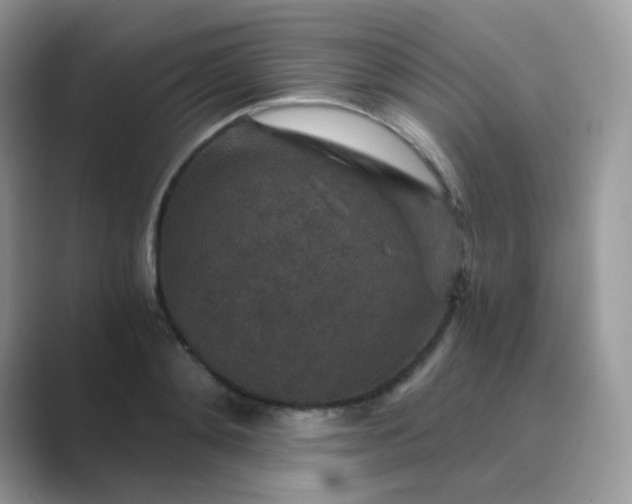 X0000089750892200707051813