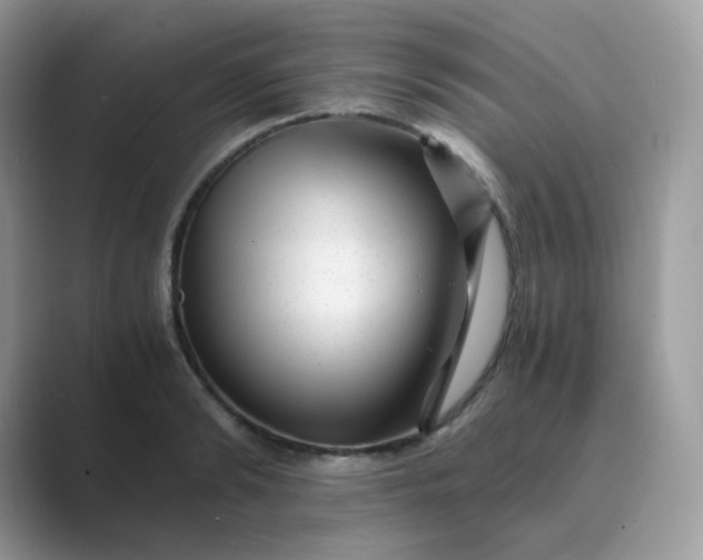 X0000089750894200707051813