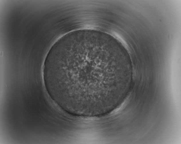 X0000089750899200707051813