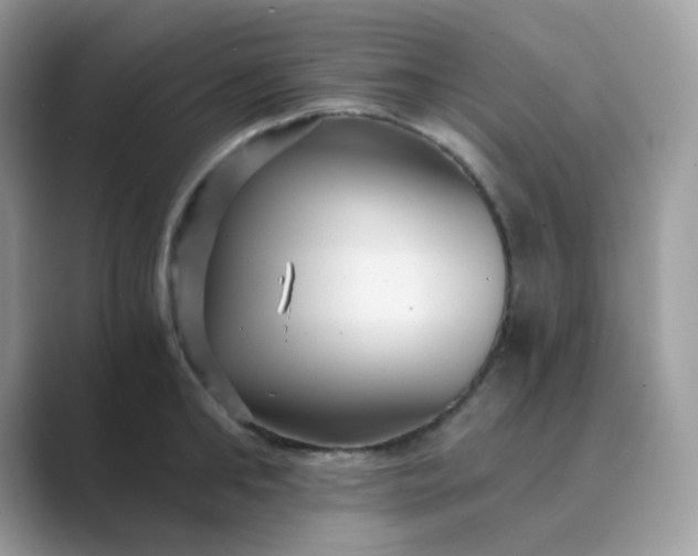 X0000089750902200707051813