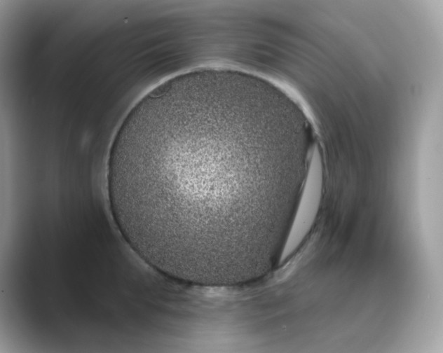 X0000089750903200707051813