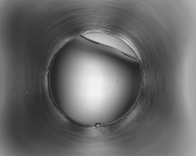 X0000089750906200707051813