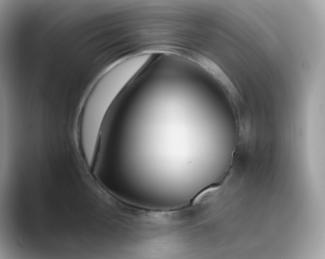 X0000089750908200707051813