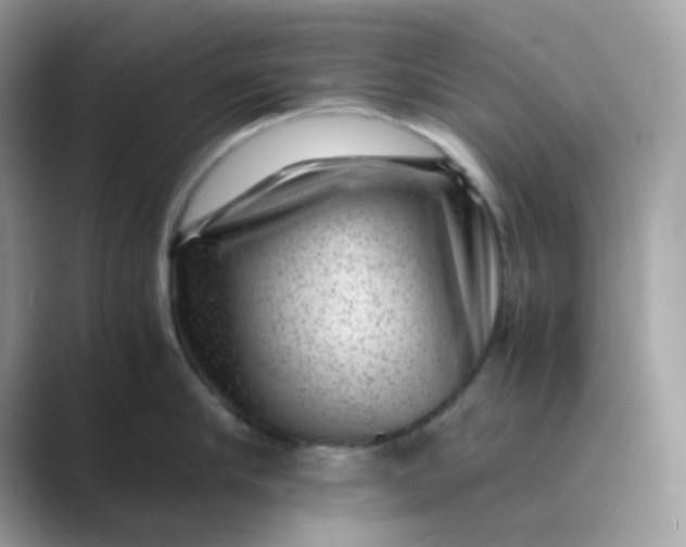 X0000089750910200707051813