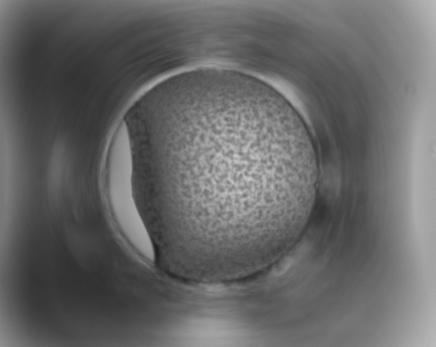 X0000089750911200707051813