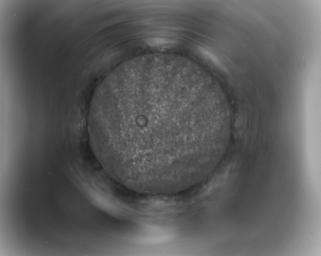 X0000089750917200707051812