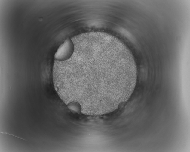 X0000089750918200707051812