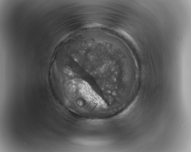 X0000089750921200707051812