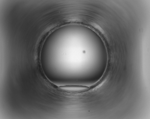 X0000089750922200707051812