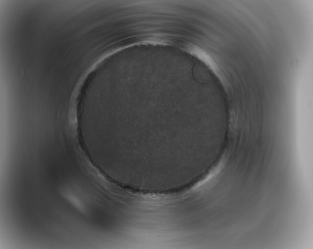 X0000089750923200707051812