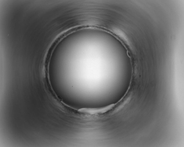 X0000089750924200707051812