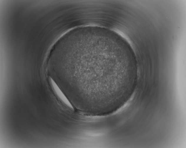 X0000089750925200707051812