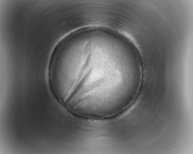 X0000089750928200707051812