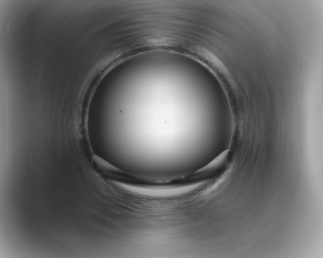 X0000089750930200707051812