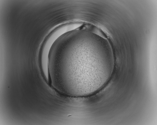 X0000089750934200707051812