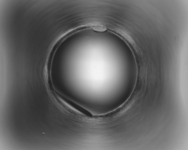 X0000089750936200707051812