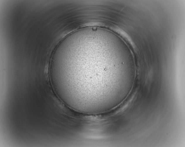 X0000089750937200707051812