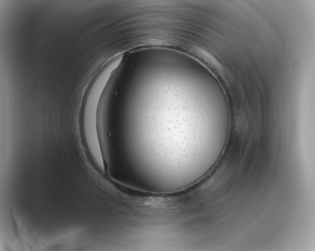 X0000089750938200707051812