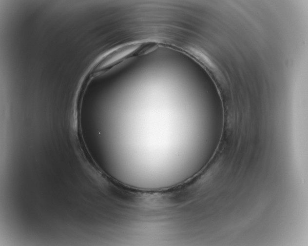 X0000089750940200707051812