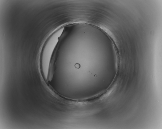 X0000089750941200707051812