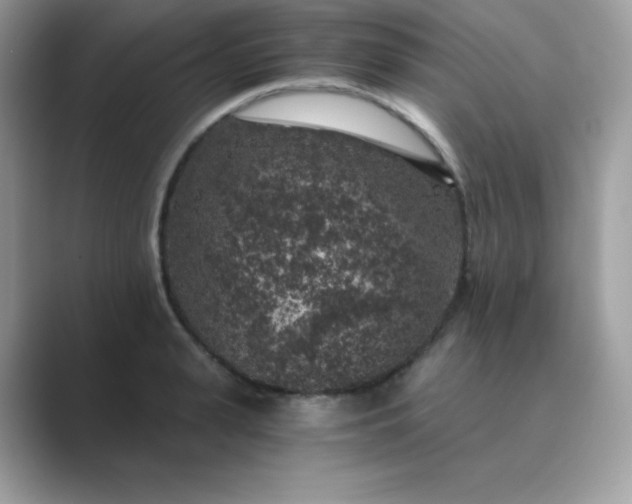 X0000089750943200707051812