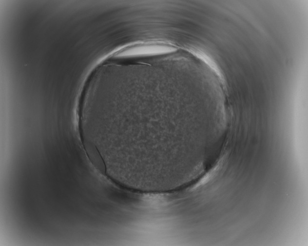 X0000089750944200707051812