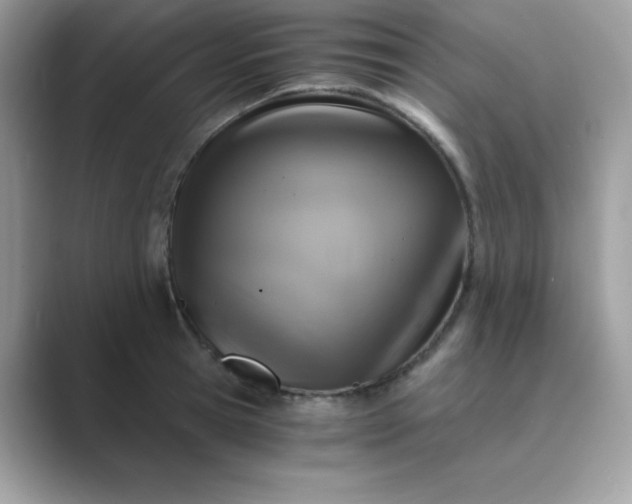 X0000089750945200707051812