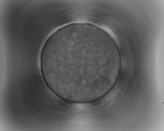 X0000089750950200707051813